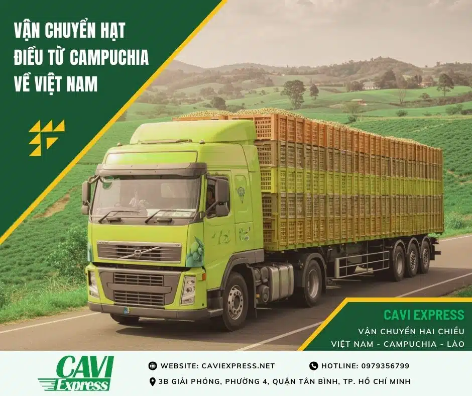 Vận Chuyển Hạt Điều Từ Campuchia Về Việt Nam Cùng CAVI Express